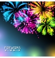 background with bright colorful fireworks vector image