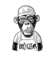 monkeys fast food worker vintage black engraving vector image