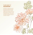 branch of chrysanthemum vector image
