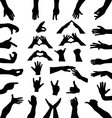 hands vector image vector image