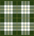 green tartan plaid seamless pattern vector image