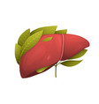 healthy human liver metaphor flat vector image