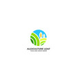 leaf template vector image