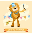 circus lion animal series vector image