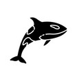 orca black glyph icon vector image