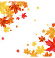 autumn maple frame vector image