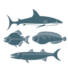 Predator Fish Royalty Free Vector Image - VectorStock