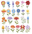 set stylized flowers collection decorative vector image
