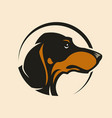 dachshund dog head sign mascot in circle vector image vector image