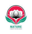 decorative poppy flower nature logo graphic design vector image