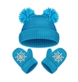 hat and mitten set winter accessories vector image