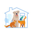 hotel for domestic animals pet shelter vet vector image
