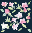 seamless pattern camelia flower vector image vector image