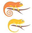 chameleon vector image vector image