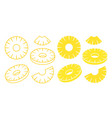 pineapple vector image vector image