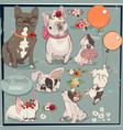 set with cute bulldogs family vector image