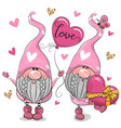 cartoon valentine gnomes isolated on a white vector image