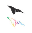 hummingbird design on white background easy vector image vector image