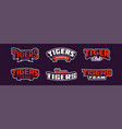 a set of bold fonts for tiger mascot logo vector image