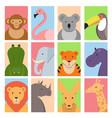 cute square avatars with wild animals vector image