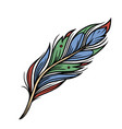 colorful feather vintage concept vector image vector image