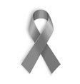 grey ribbon symbol of borderline personality vector image