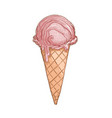 ice cream vector image