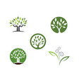 logos of green tree leaf ecology vector image