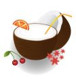 coconut cocktail vector image