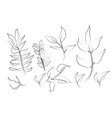set of leaves in line art style vector image