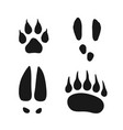 wild animals footprints set vector image