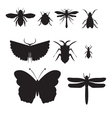 black insect icon set vector image