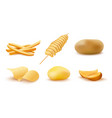 cooked potato snacks for fast food menu vector image vector image