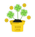 flower pot with clover plant coins around good vector image vector image
