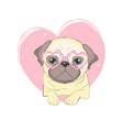 pug dog cartoon cute friendly fat chubby fawn vector image