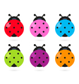 ladybugs vector image vector image