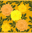 seamless pattern with yellow and orange marigolds vector image vector image