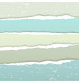 torn grunge paper vector image vector image