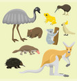 australia wild animals cartoon popular nature vector image vector image