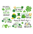 a set of decorative elements for st patricks day vector image