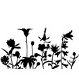 silhouettes of wild flowers vector image
