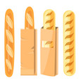 bread in a paper bag vector image vector image