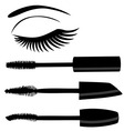 eye mascara vector image