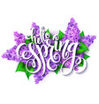 hand lettering - hello vector image