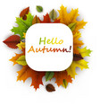 hello autumn card with colorful leaves vector image