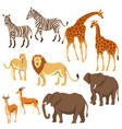 set of african savanna animals vector image