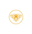 honey line bee logo template vector image