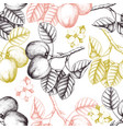 seamless pattern with apple sketch vector image