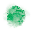 green watercolor on white background it is a hand vector image