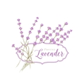 label with lavender vector image